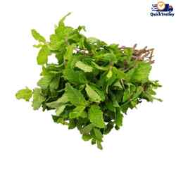 Fresho Mint 1 pc, (Pudina) with roots (approx. 80-100g)